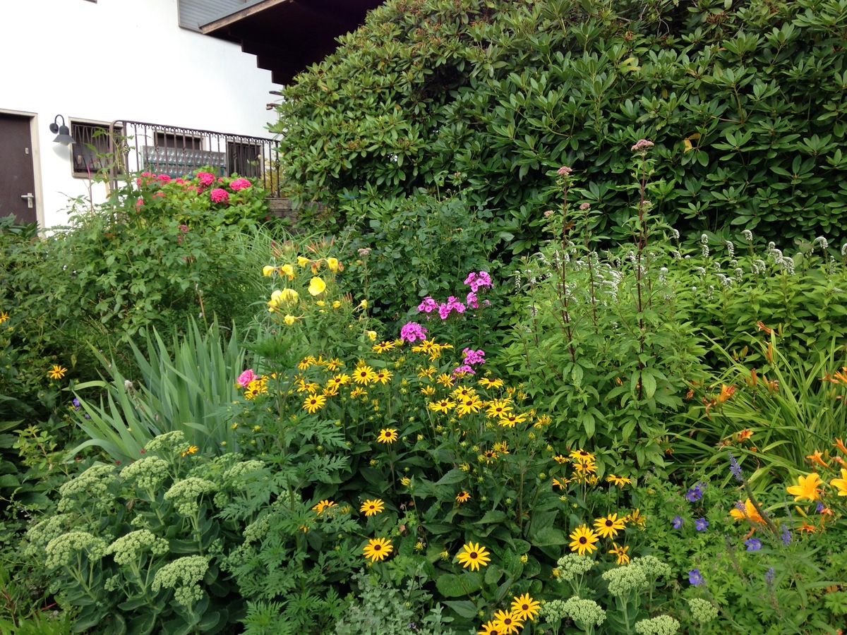 Staudenbeet im zweiten Standjahr